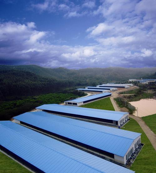 公司菜篮子生产基地——家禽饲养基地(下称"基地")位于广东省潮州市