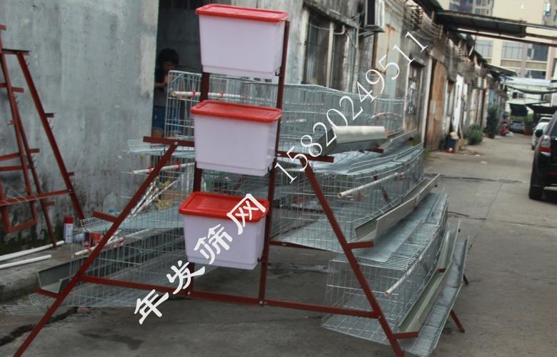 chicken battery cage for poultry farm家禽农场蛋鸡养殖笼具